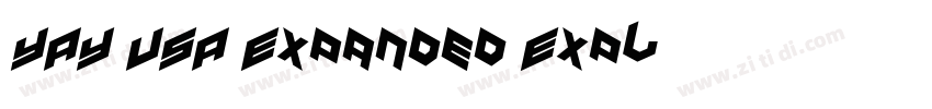 YAY USA Expanded Exp字体转换
